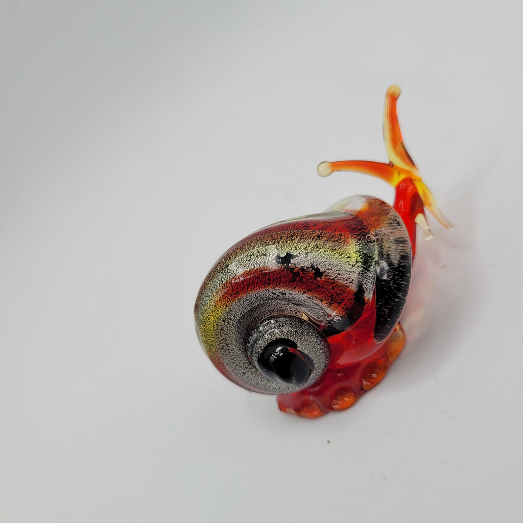 Snail 🐌...glows orange under UV