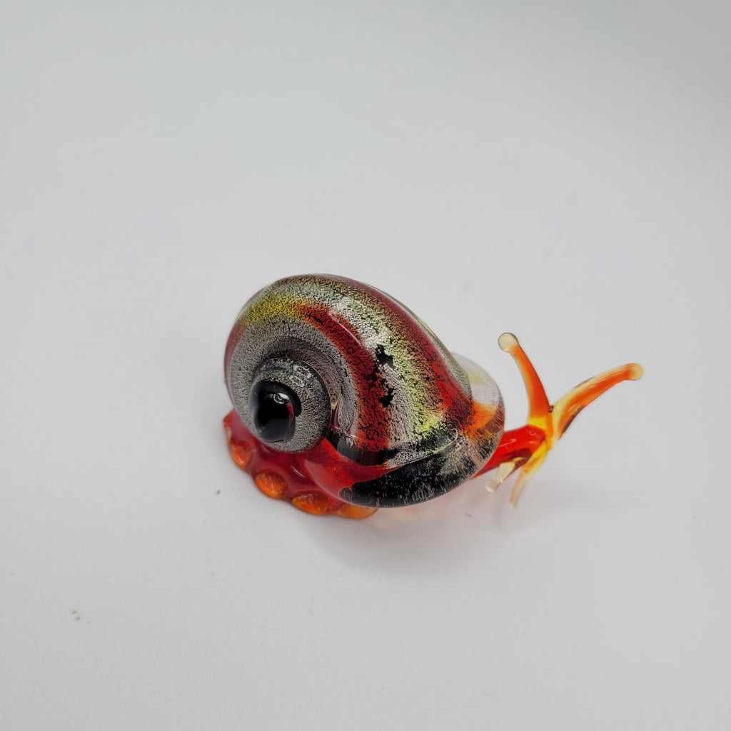 Snail 🐌...glows orange under UV