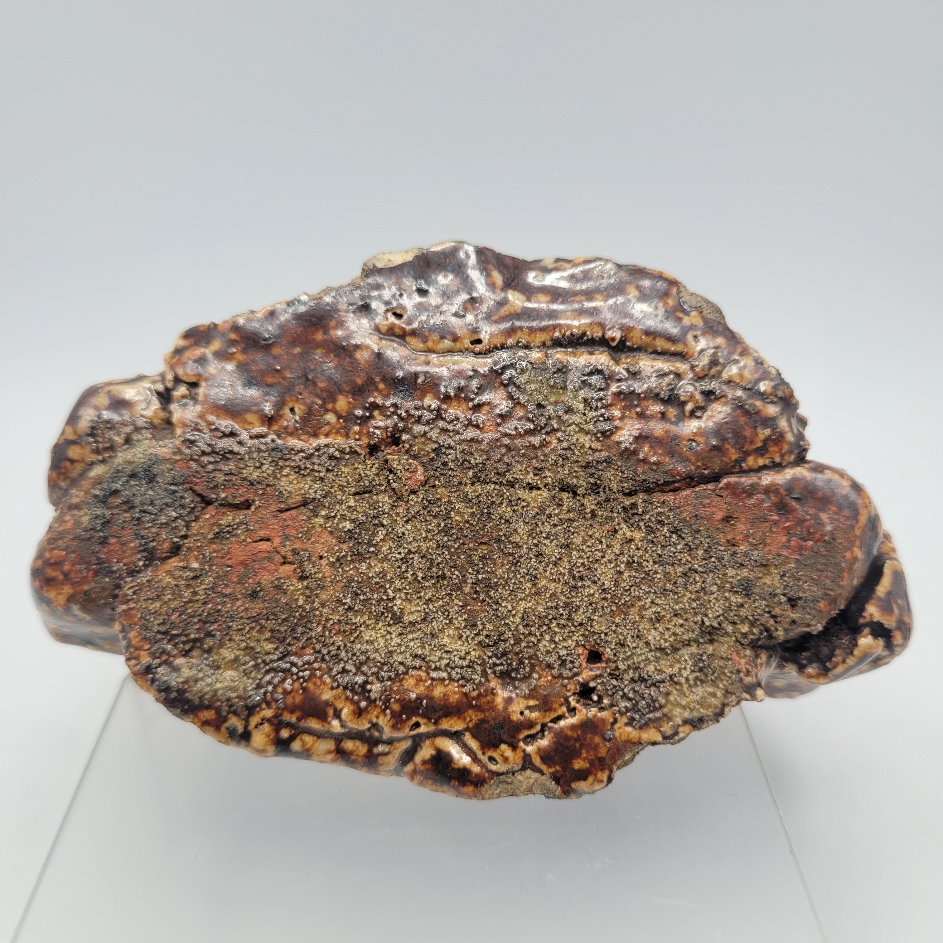 Late 17th-Century Salt-Glaze Tester Ring / Trial Piece
Possibly English (Fulham) or German (Rhenish Westerwald), circa 1650 – 1700