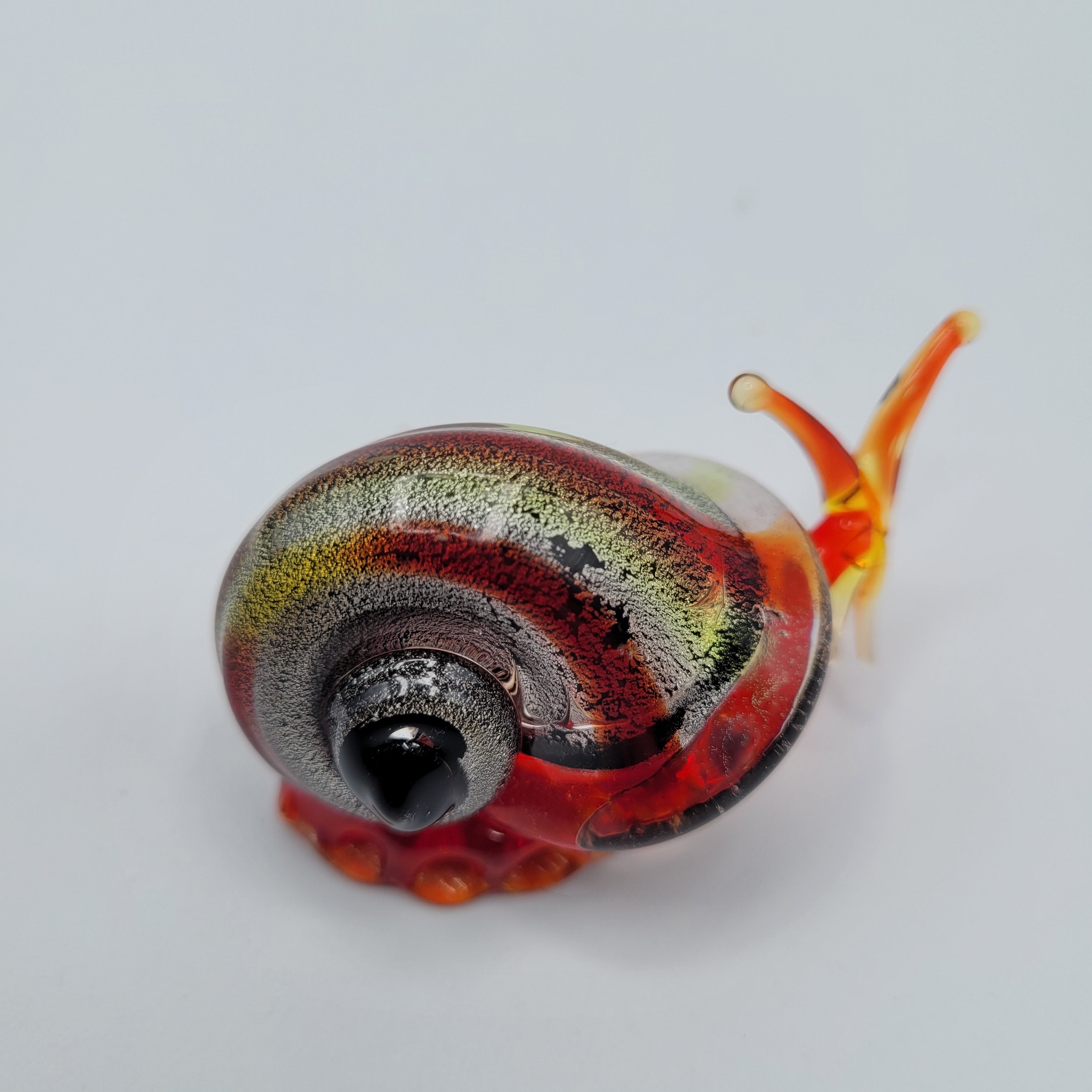 Snail 🐌...glows orange under UV