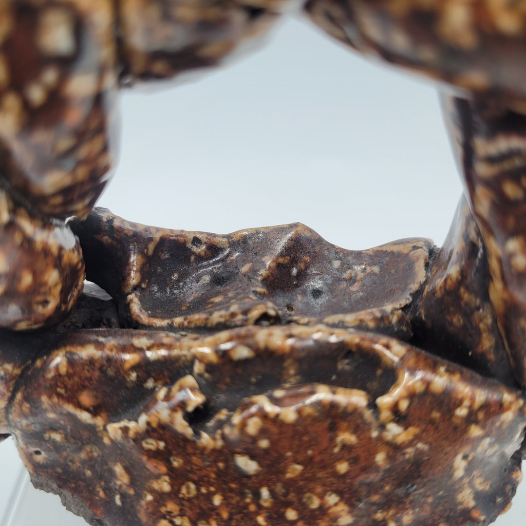 Late 17th-Century Salt-Glaze Tester Ring / Trial Piece
Possibly English (Fulham) or German (Rhenish Westerwald), circa 1650 – 1700