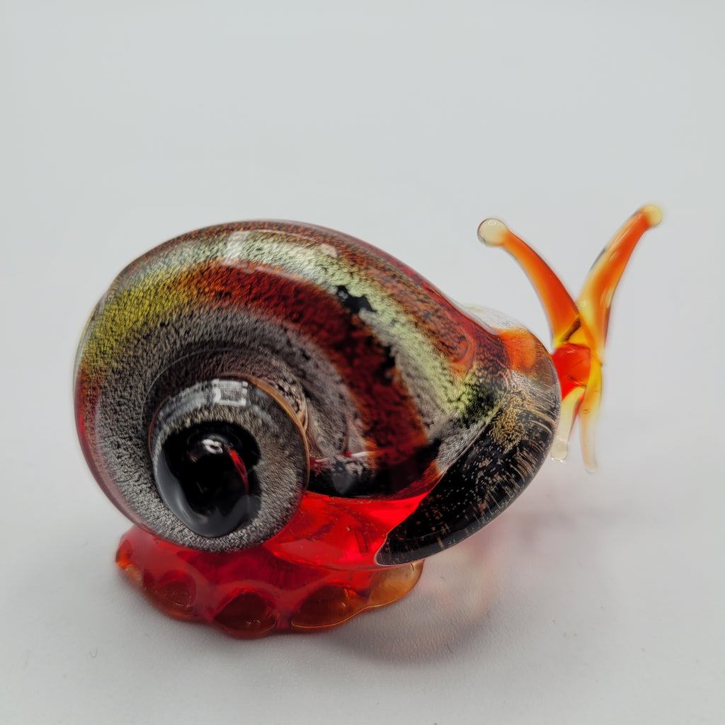 Snail 🐌...glows orange under UV