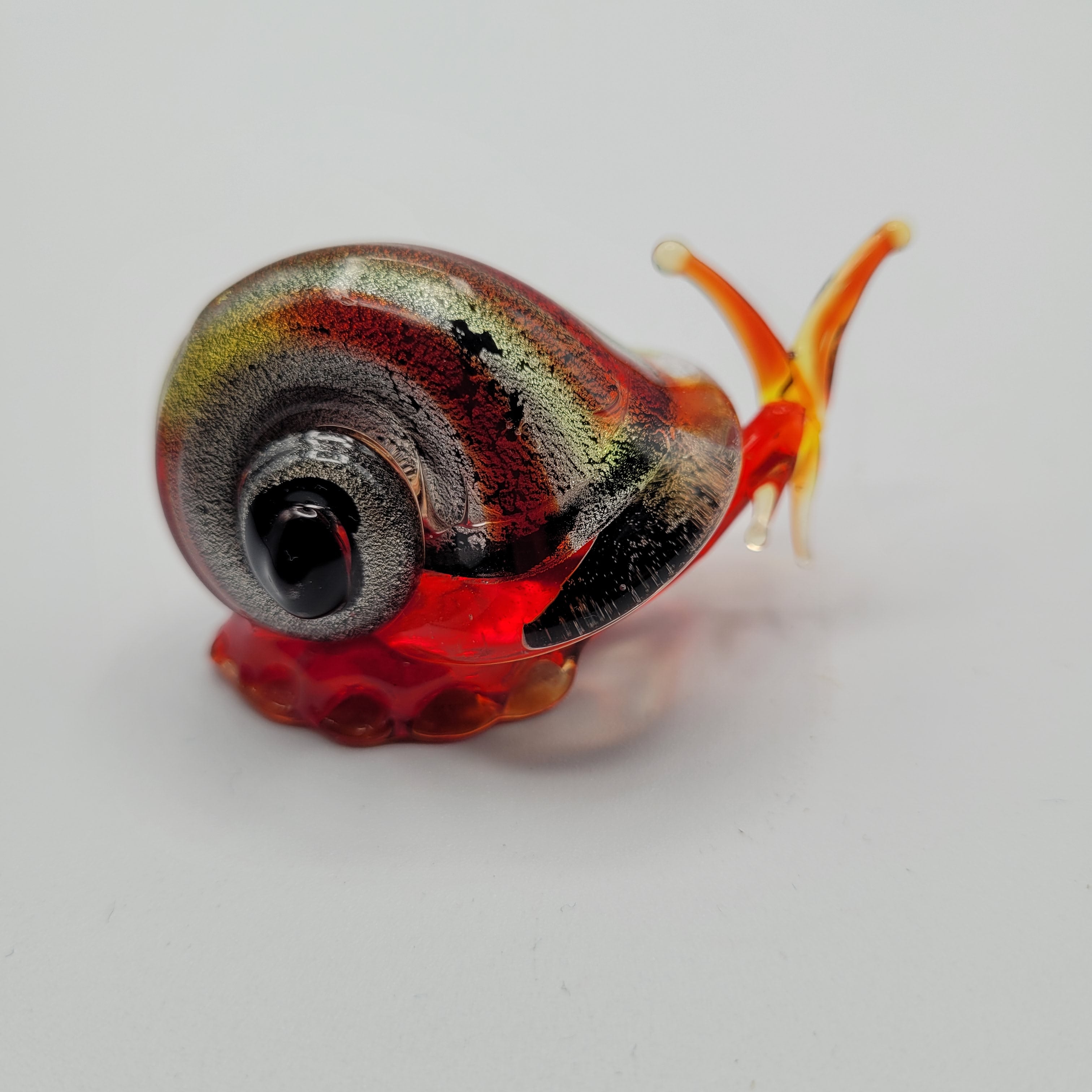 Snail 🐌...glows orange under UV