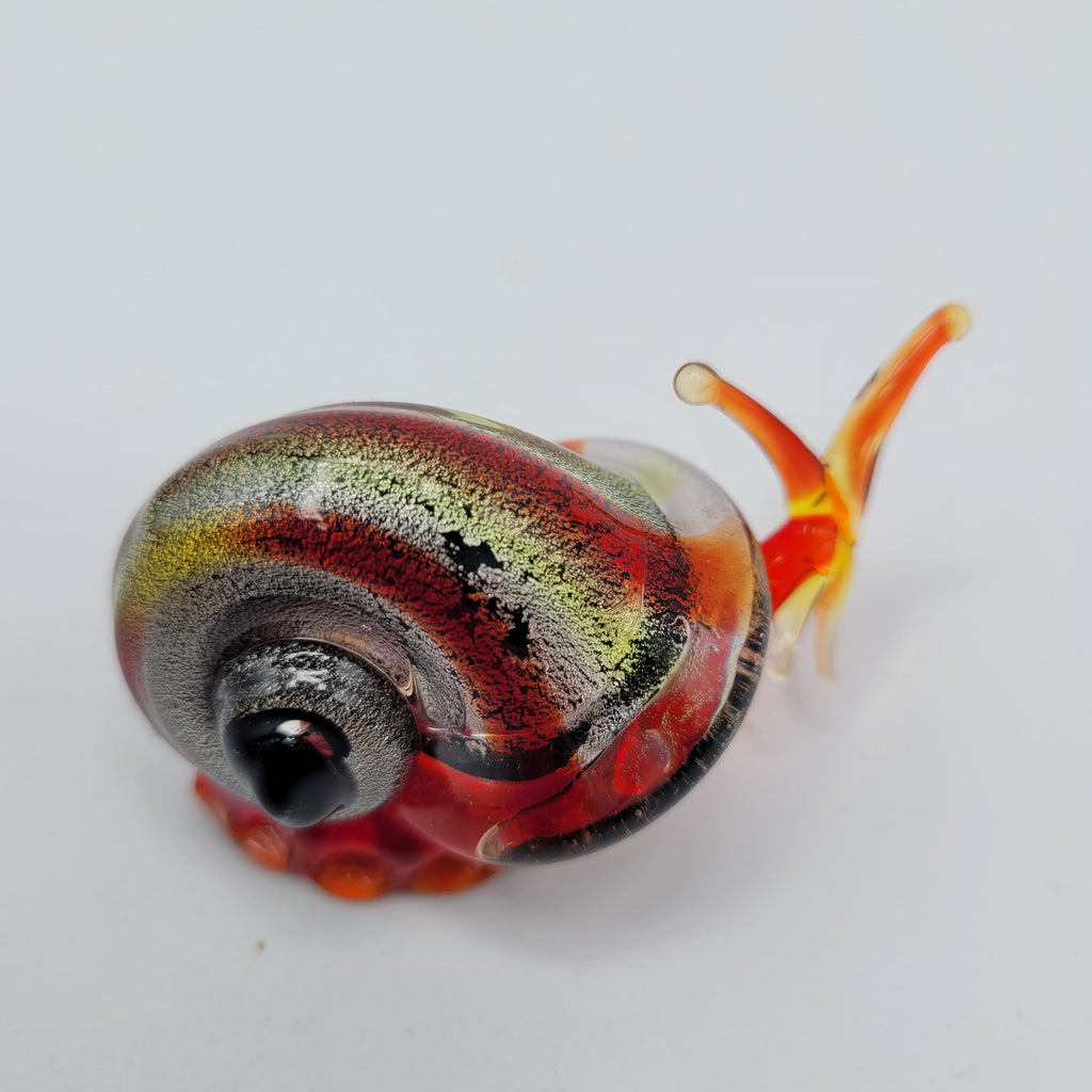 Snail 🐌...glows orange under UV