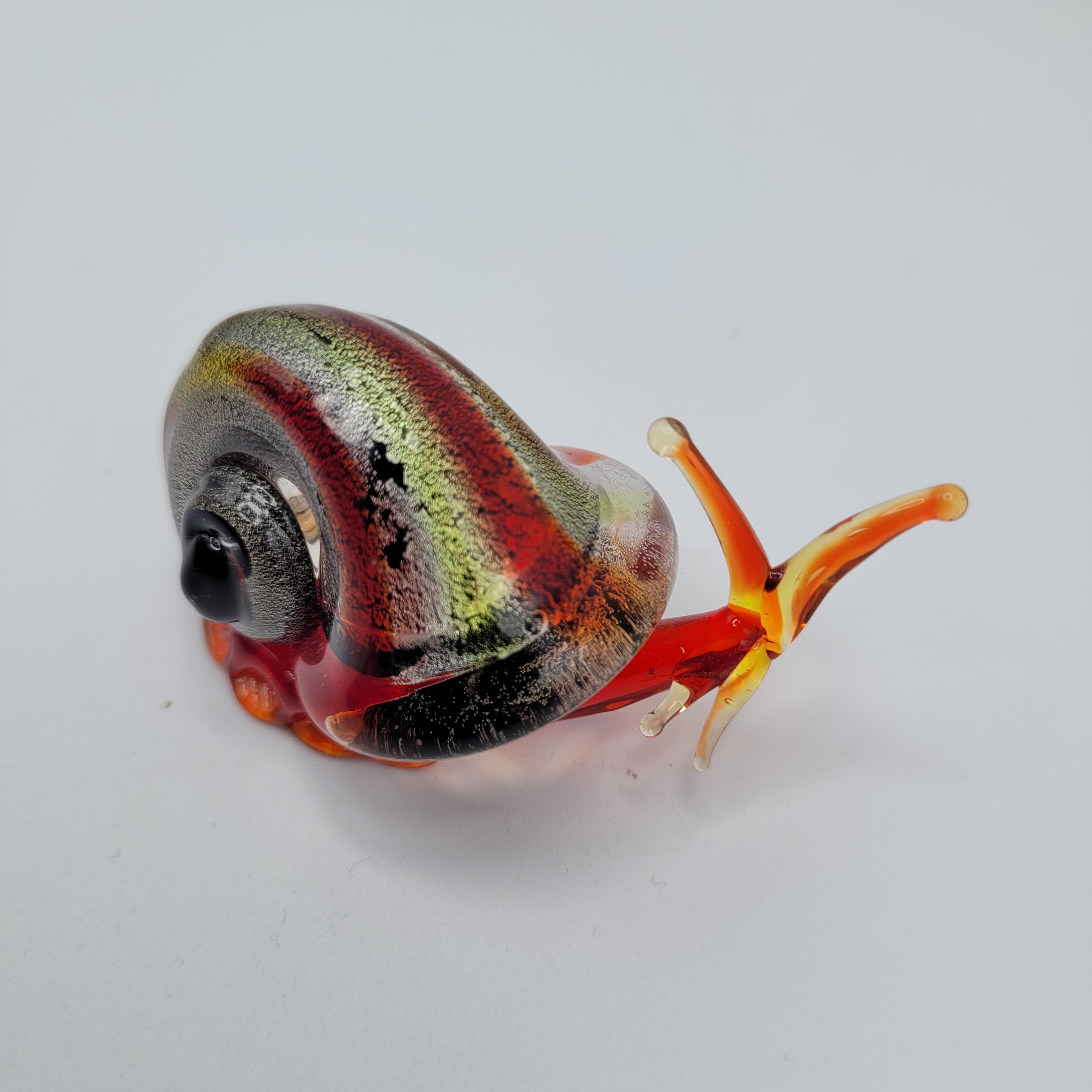 Snail 🐌...glows orange under UV