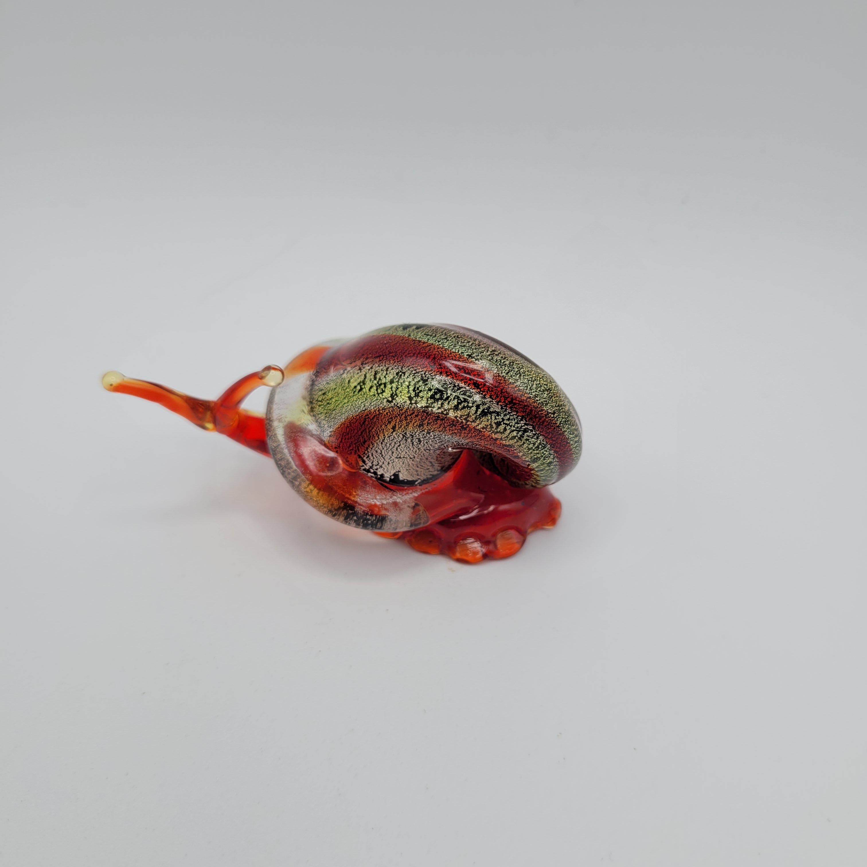 Snail 🐌...glows orange under UV