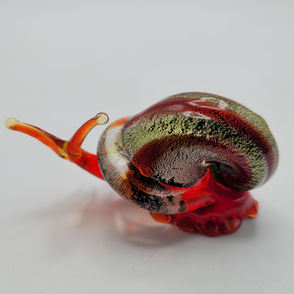 Snail 🐌...glows orange under UV