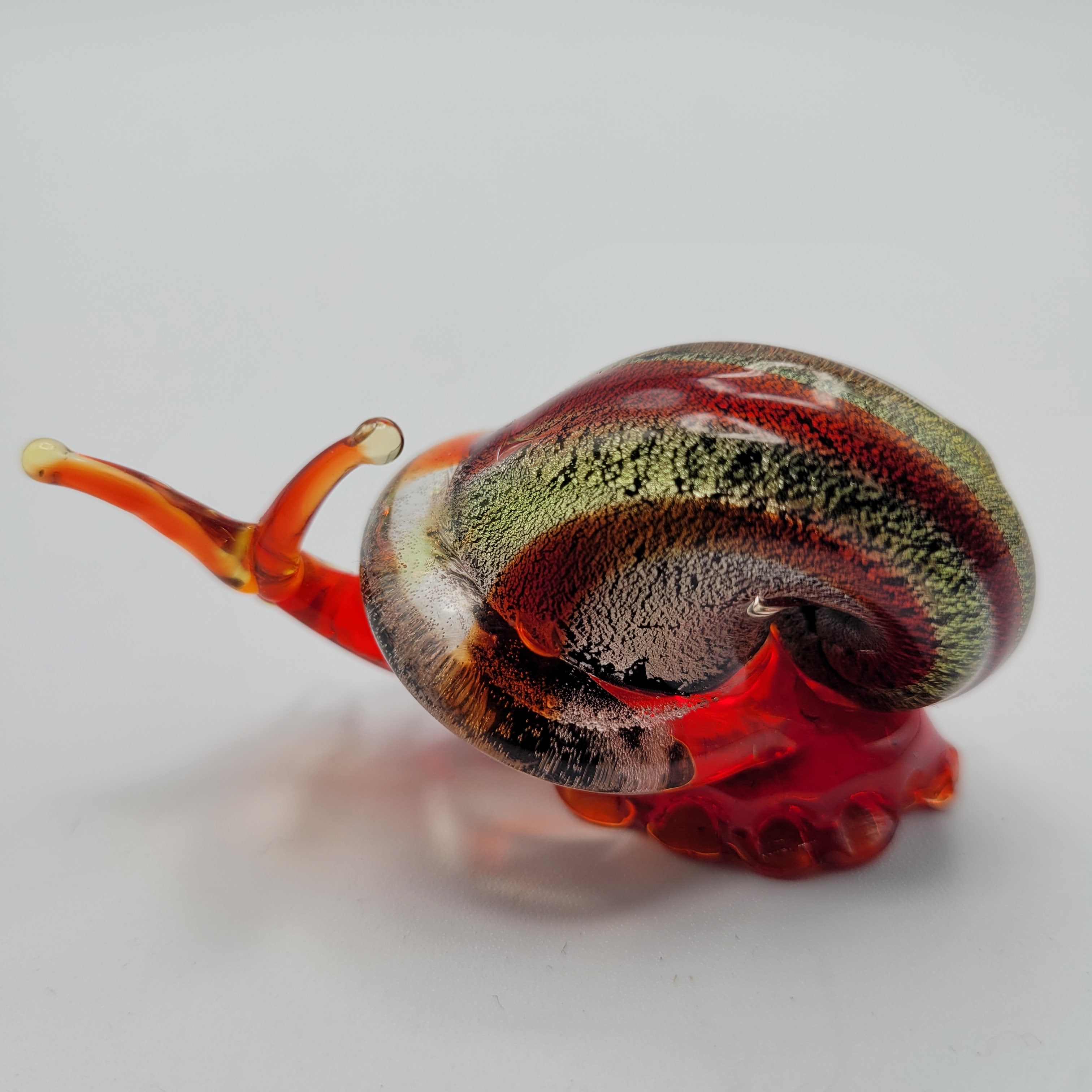 Snail 🐌...glows orange under UV